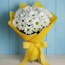 Букет цветов из:  Хризантемы в Гидроузел