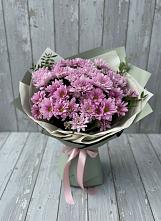 Букет цветов из:  Хризантемы #REPLACE_PRED# Гидроузел