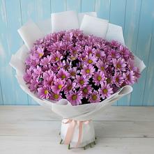 Букет цветов из:  Хризантемы в Гидроузел