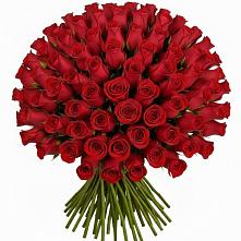 Букет Красные розы Чери Лав в Гидроузел